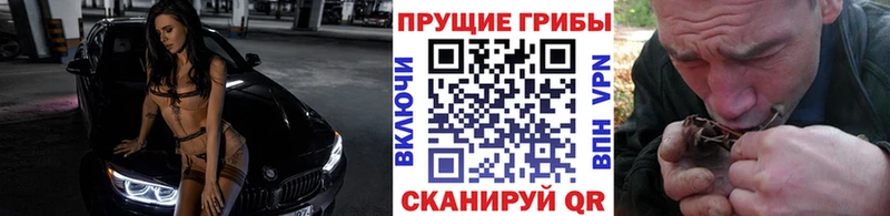 Галлюциногенные грибы Cubensis  Безенчук 